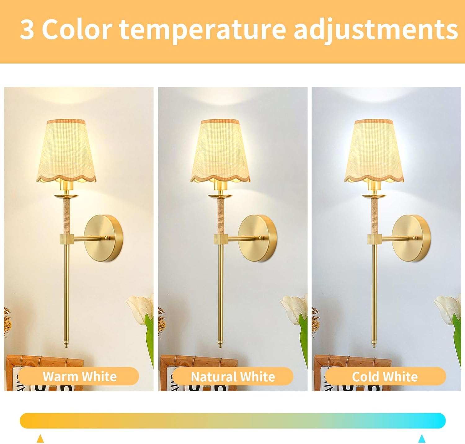 2 Pack Gold RGB Rattan Battery Wall Sconces